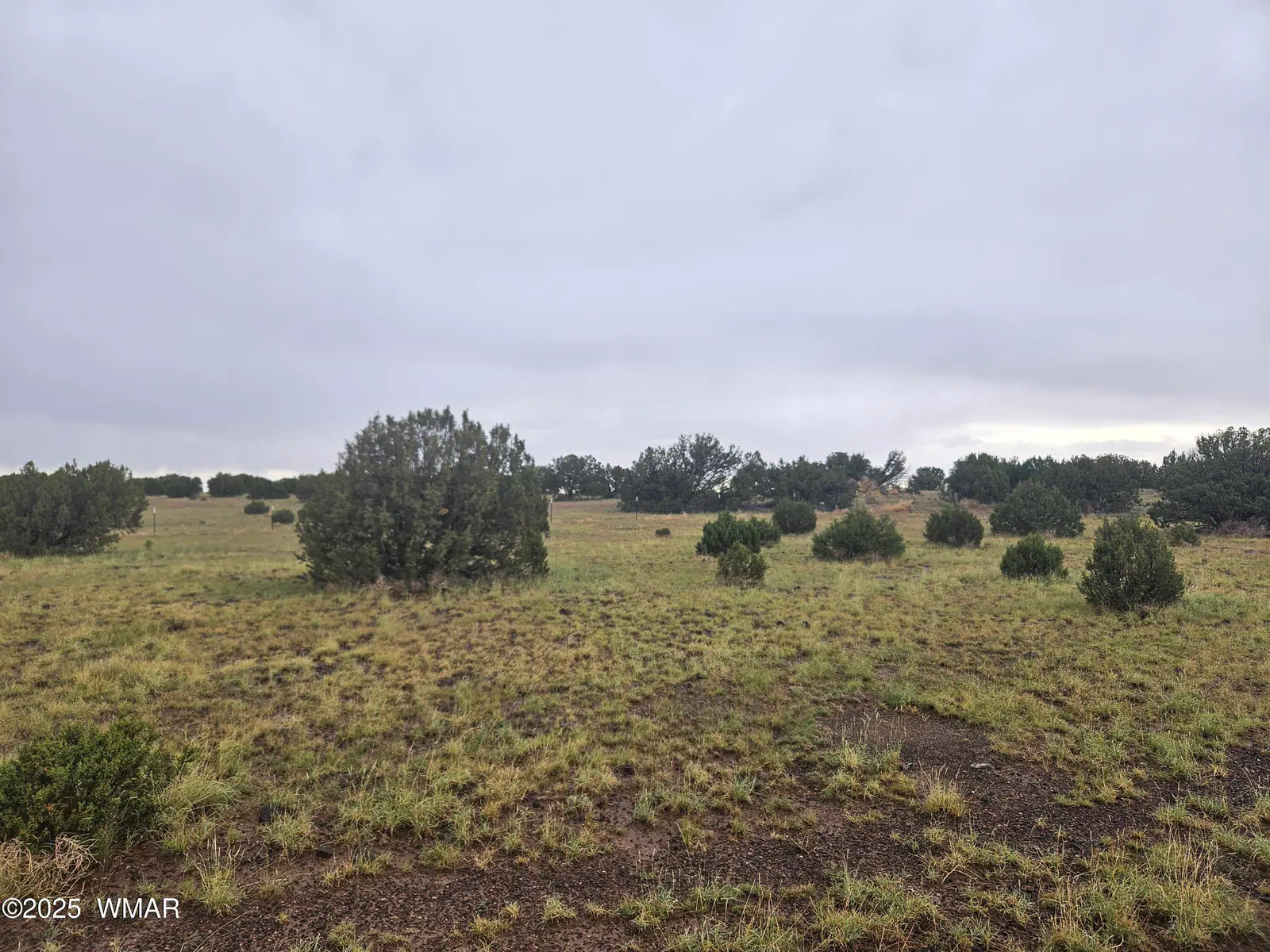 56 County Road 5073, Concho, AZ 85924, Photo 1 of 8