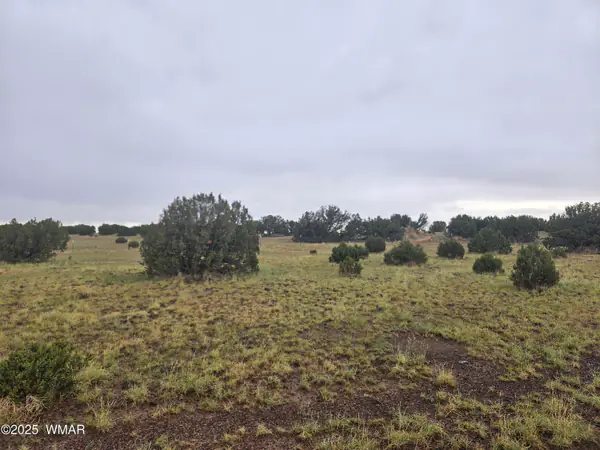 Land at 56 County Road 5073, Concho