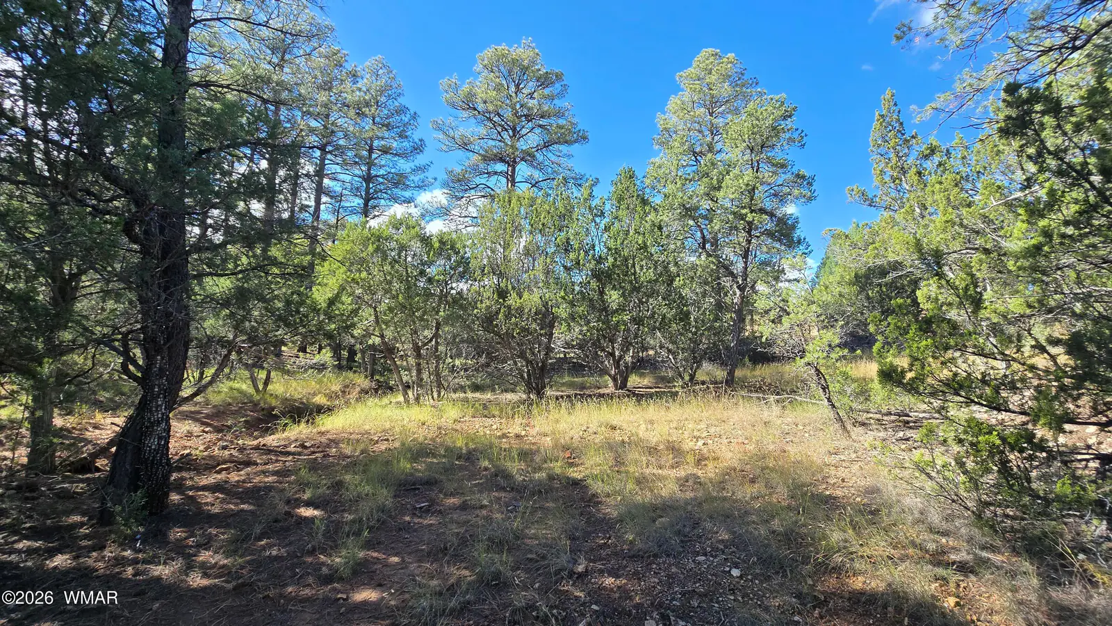1545 Rocky Top Drive, Heber, AZ 85928, Photo 1 of 10