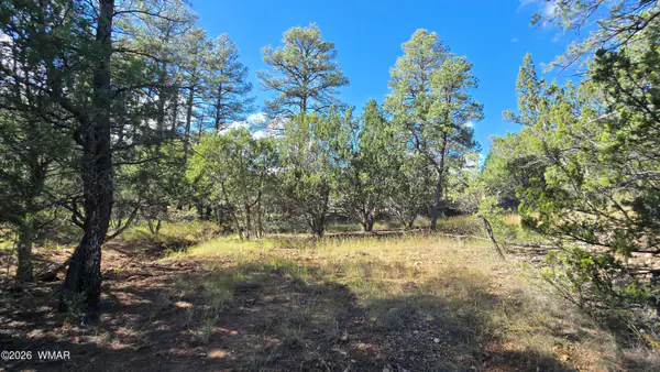 Land at 1545 Rocky Top Drive, Heber