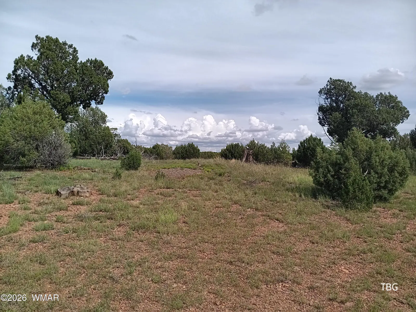 TBD Fruit Forest Lane, Clay Springs, AZ 85923, Photo 1 of 3