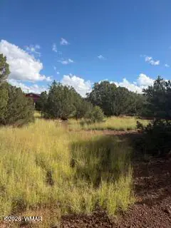 1765 Bighorn Place, Show Low, AZ 85901, Photo 1 of 6