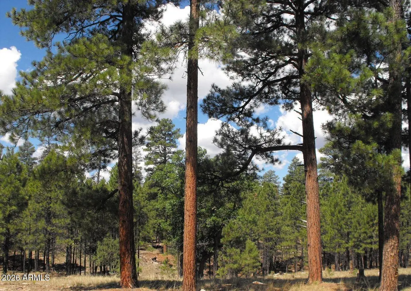 4622 JUNIPER Drive 116, Happy Jack, AZ 86024, Photo 1 of 3