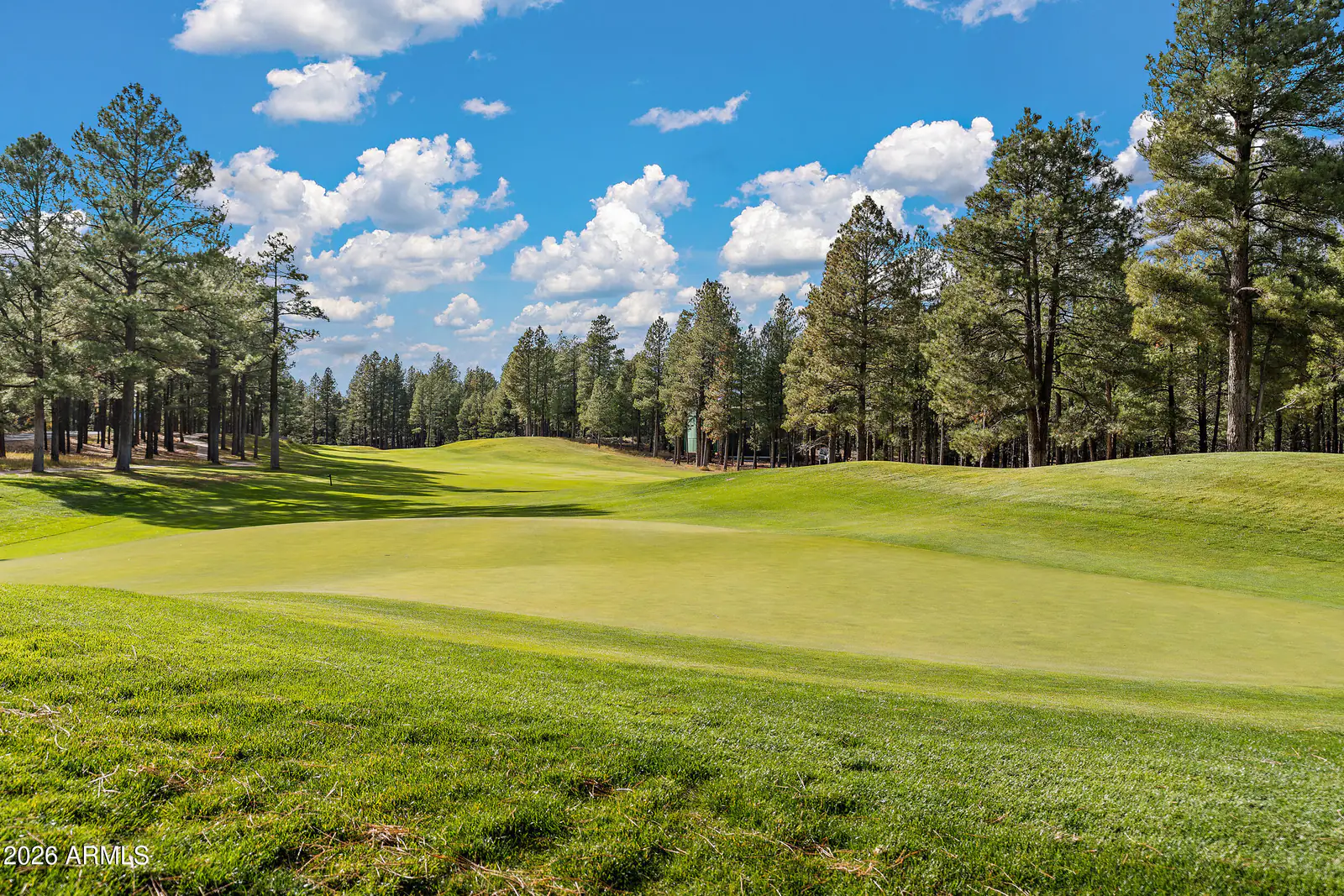2228 John Hance, Flagstaff, AZ 86005, photo 40 of 40