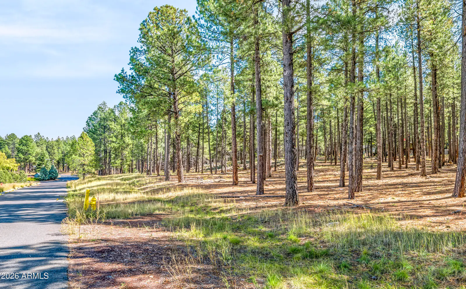 0 W Route 66 Highway B, Flagstaff, AZ 86001, photo 12 of 16