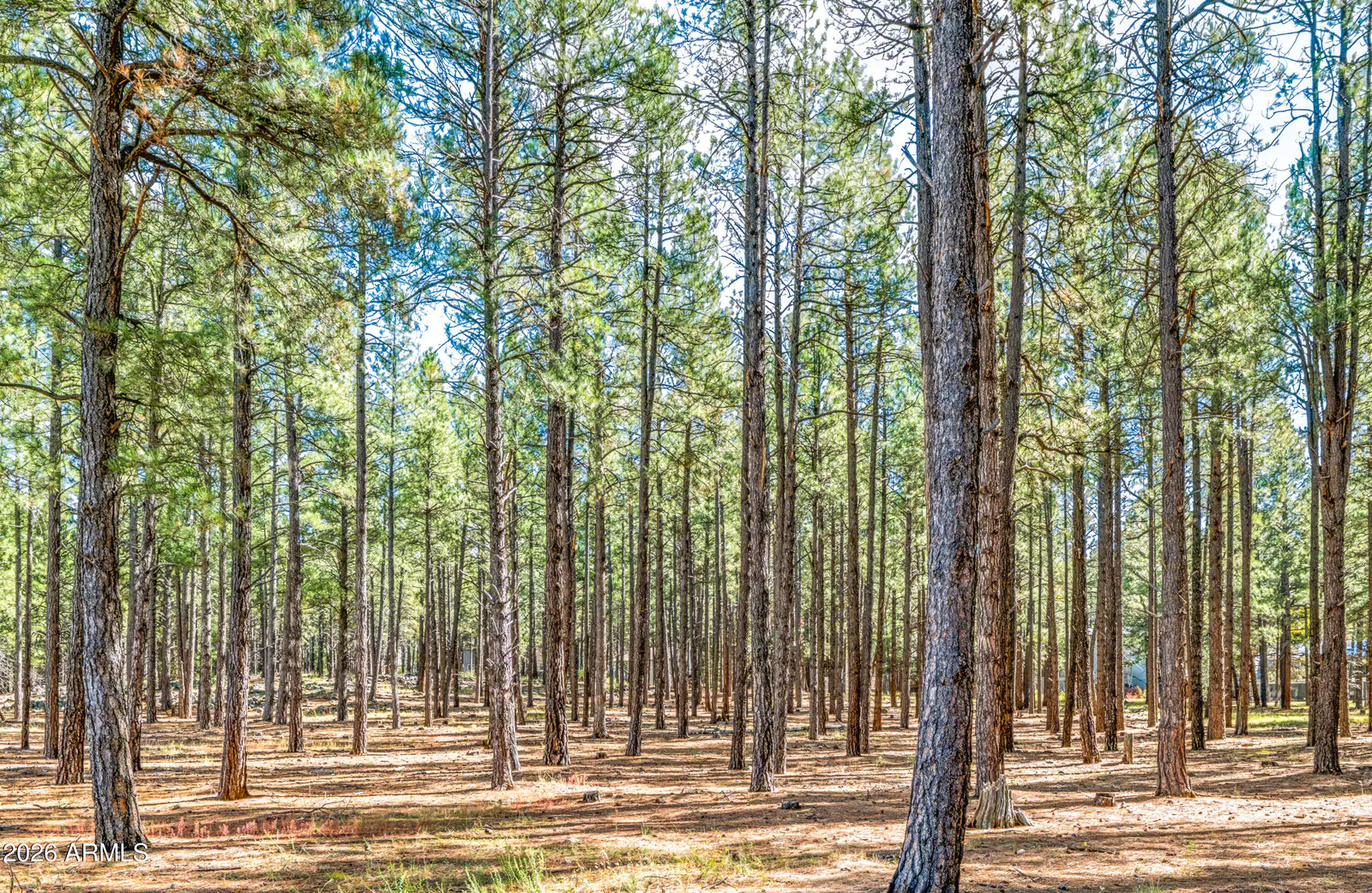 0 W Route 66 Highway B, Flagstaff, AZ 86001, photo 13 of 16