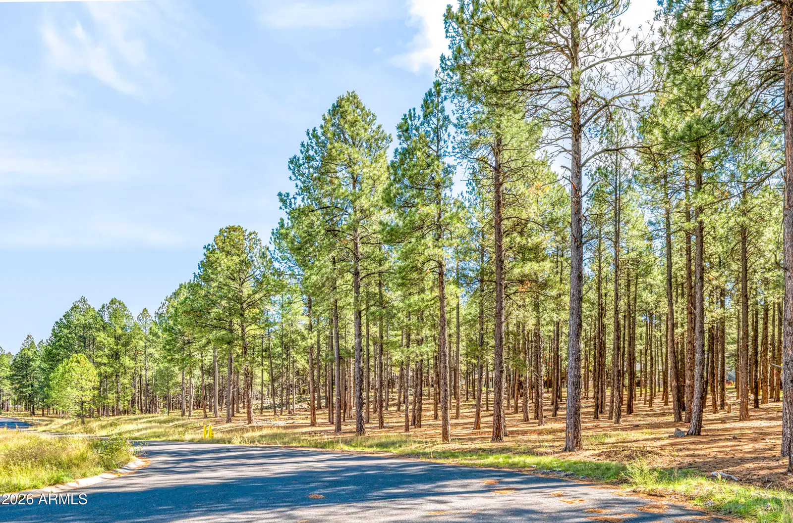 0 W Route 66 Highway B, Flagstaff, AZ 86001, photo 14 of 16