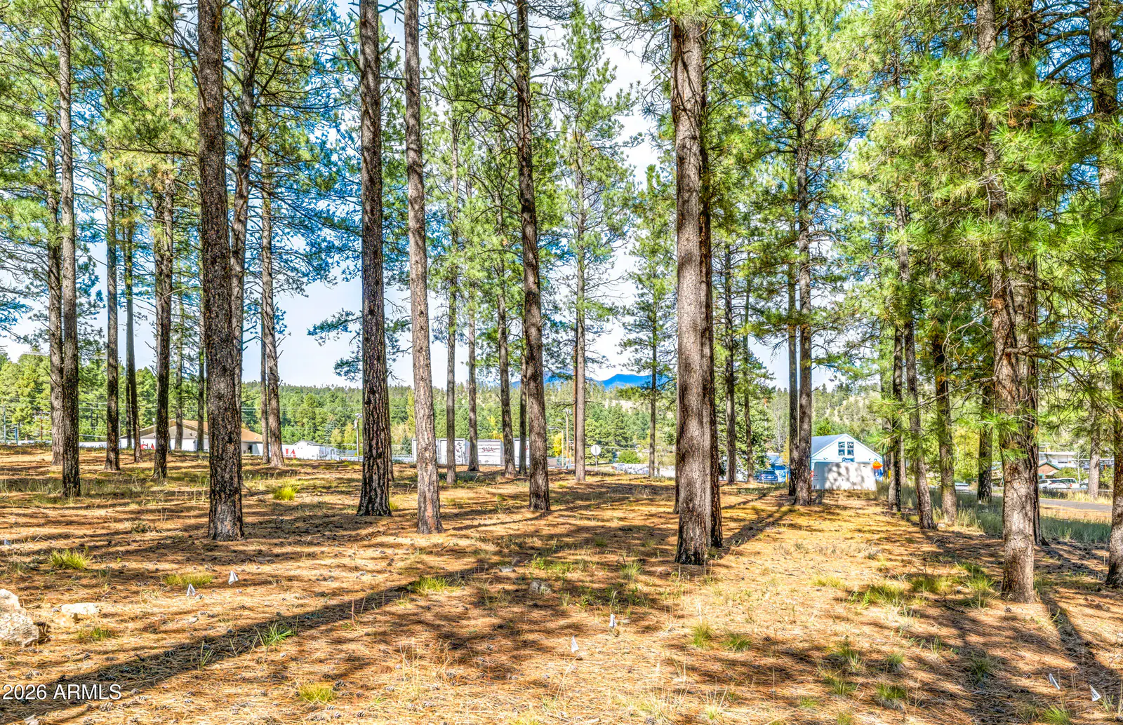 0 W Route 66 Highway B, Flagstaff, AZ 86001, photo 15 of 16
