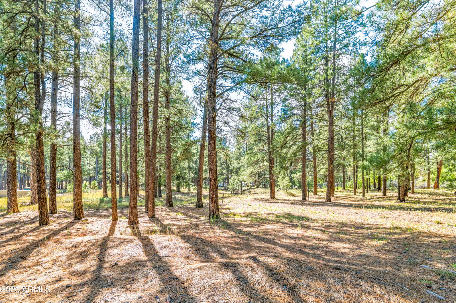 0 W Route 66 Highway B, Flagstaff, AZ 86001, photo 16 of 16