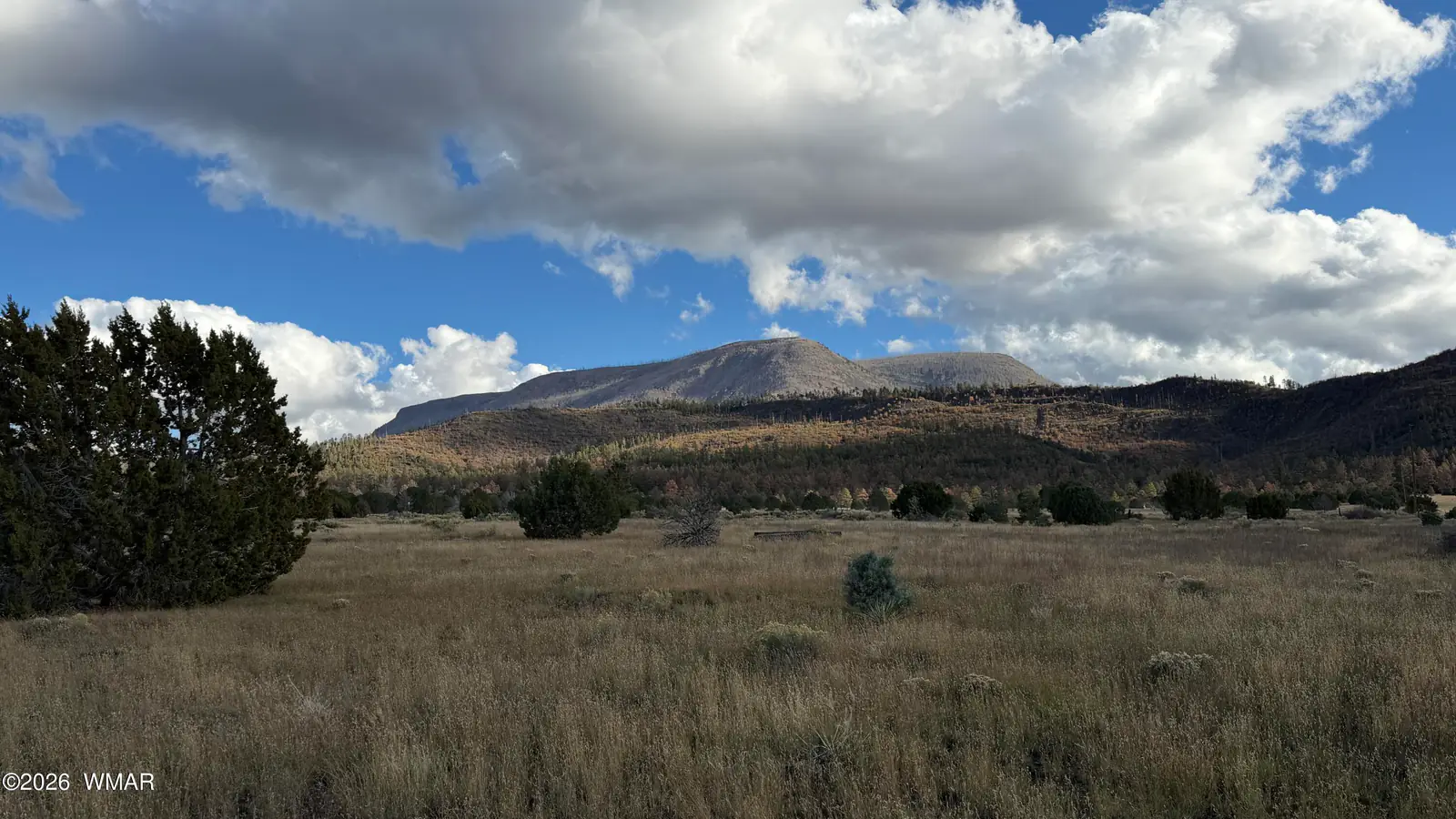 69 N2006, Nutrioso, AZ 85932, photo 15 of 16