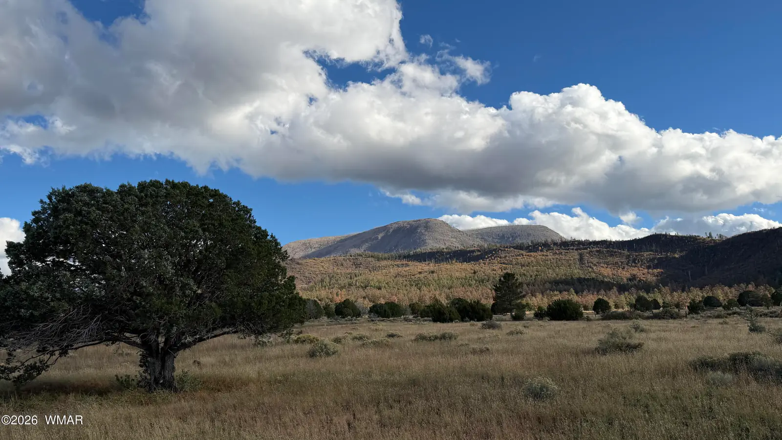 69 N2006, Nutrioso, AZ 85932, Photo 1 of 16
