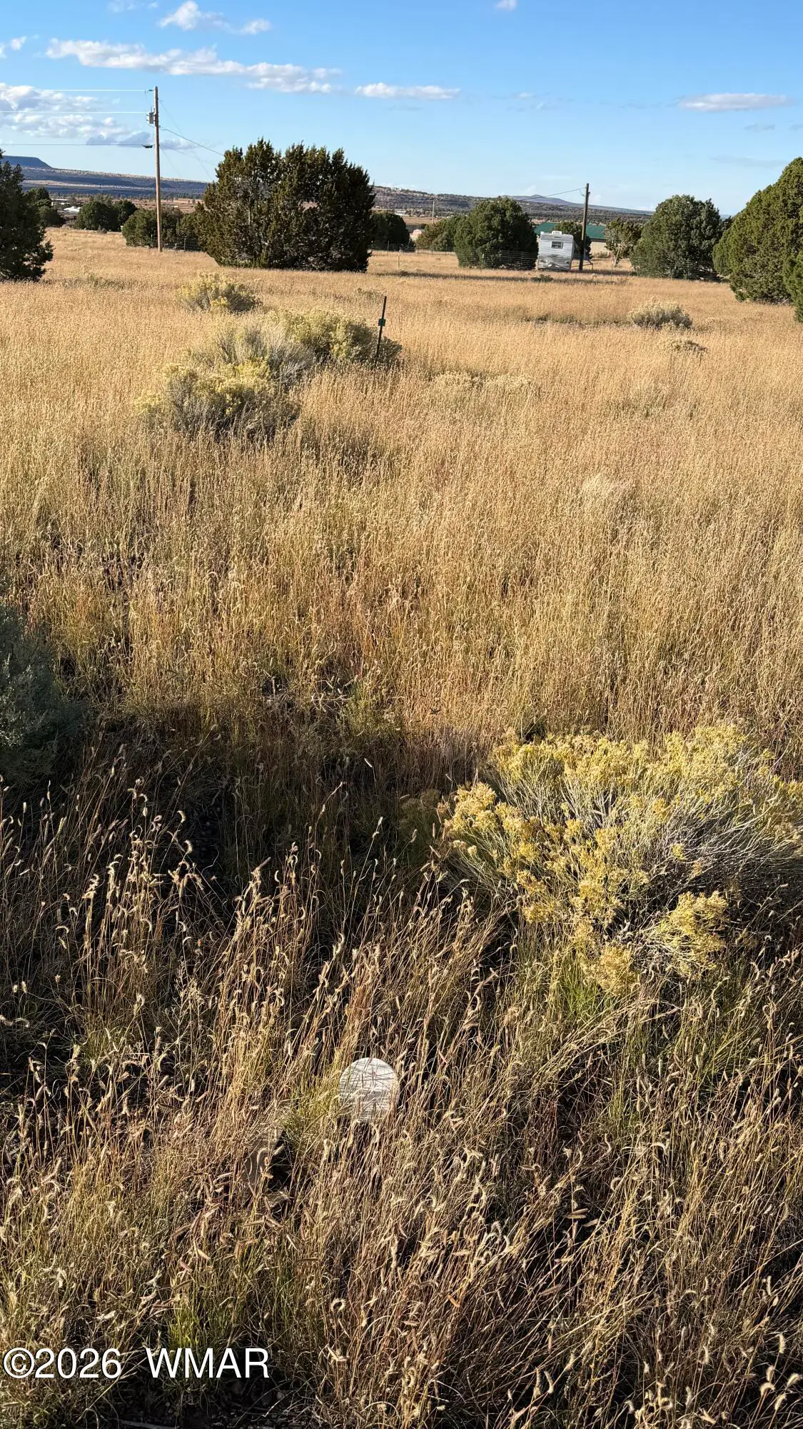 69 N2006, Nutrioso, AZ 85932, photo 11 of 16