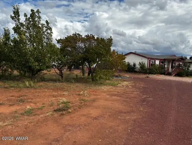 215 N Snowflake Heights Boulevard, Snowflake, AZ 85937, photo 3 of 24