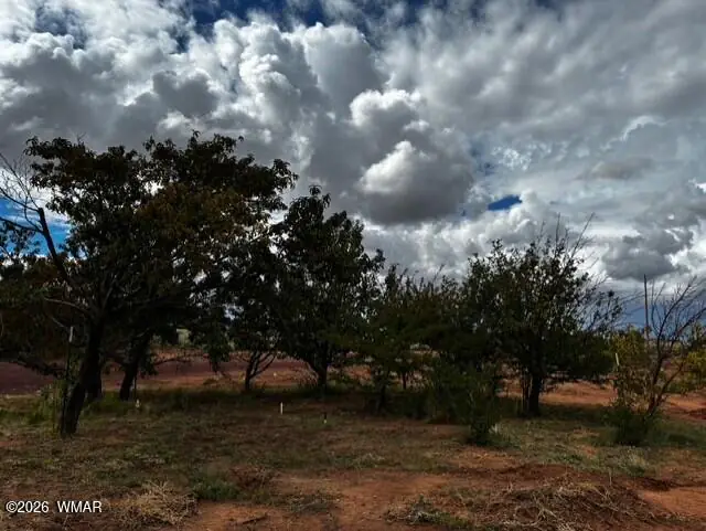 215 N Snowflake Heights Boulevard, Snowflake, AZ 85937, photo 4 of 24