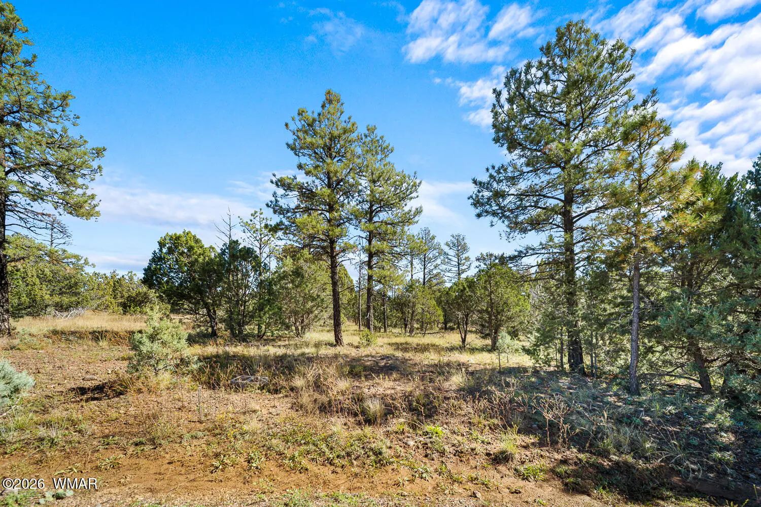 5459 Gray Wolf Drive, Lakeside, AZ 85929, photo 4 of 14