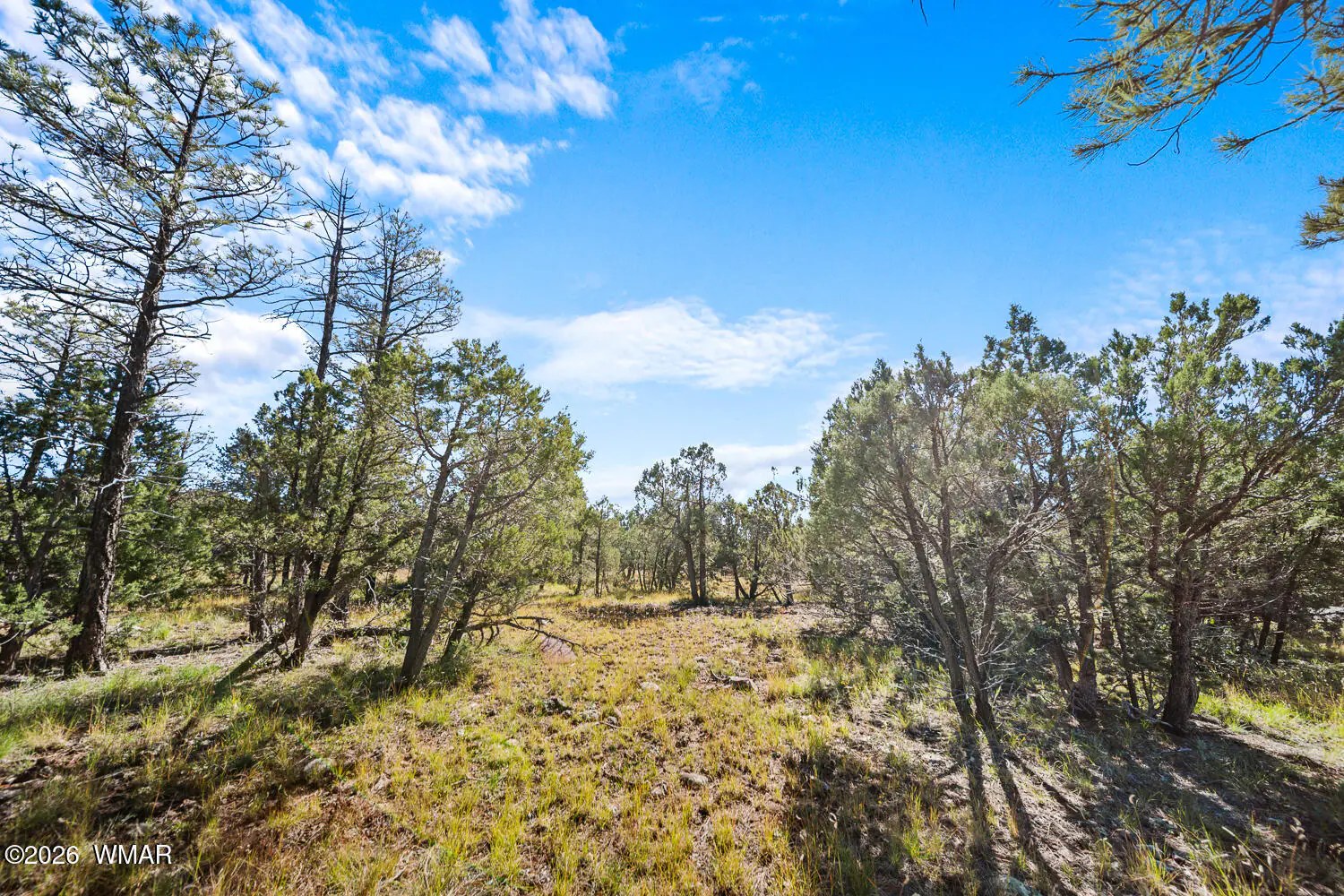 5459 Gray Wolf Drive, Lakeside, AZ 85929, photo 5 of 14