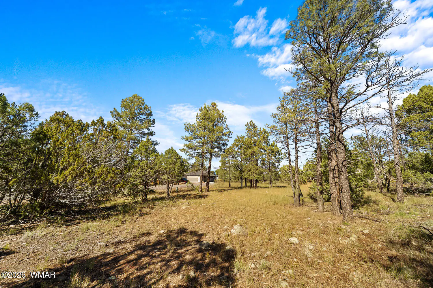 5459 Gray Wolf Drive, Lakeside, AZ 85929, photo 7 of 14