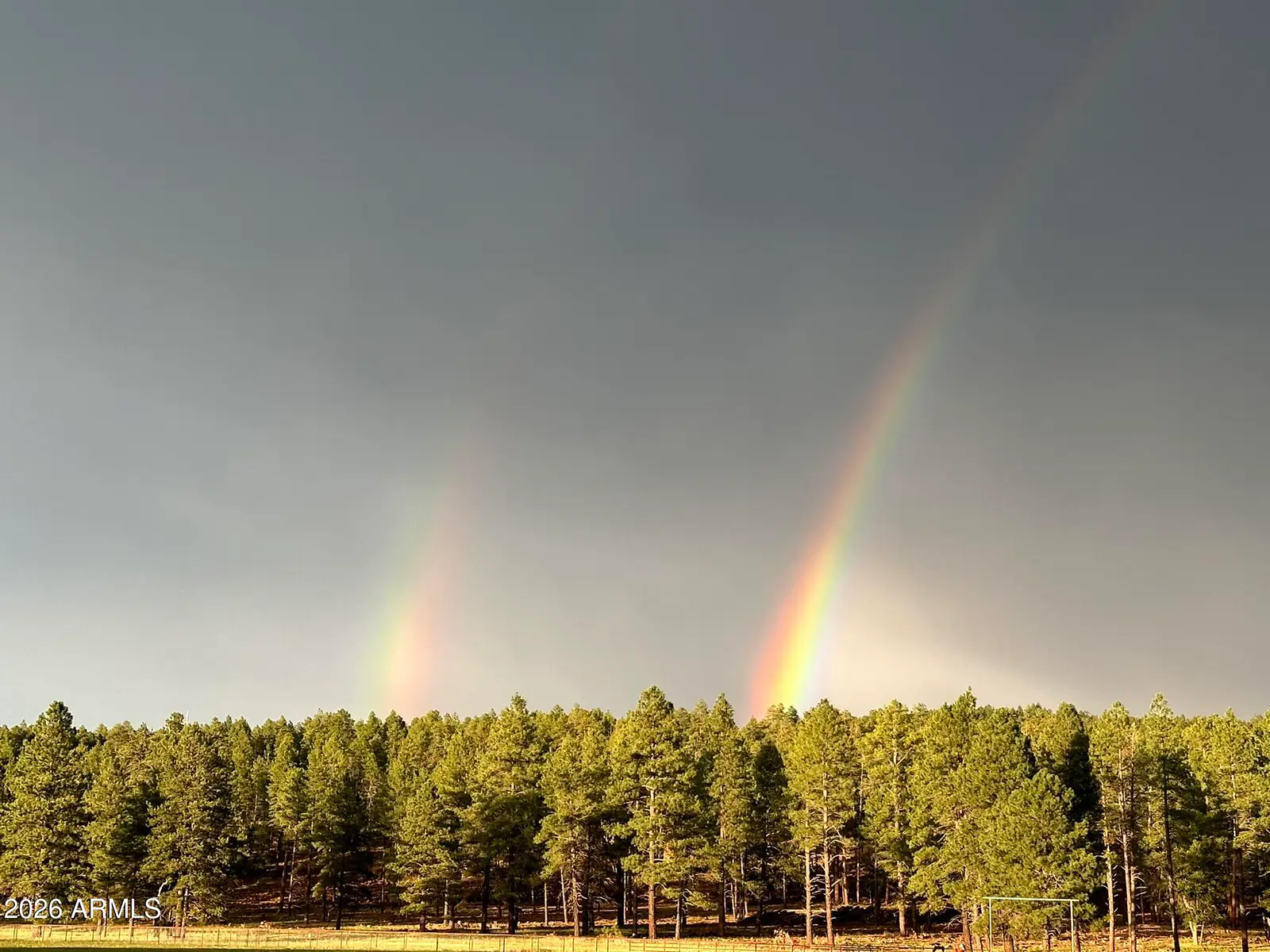 XXXX E FSR 700 and FSR 78 2, Flagstaff, AZ 86005, photo 7 of 13