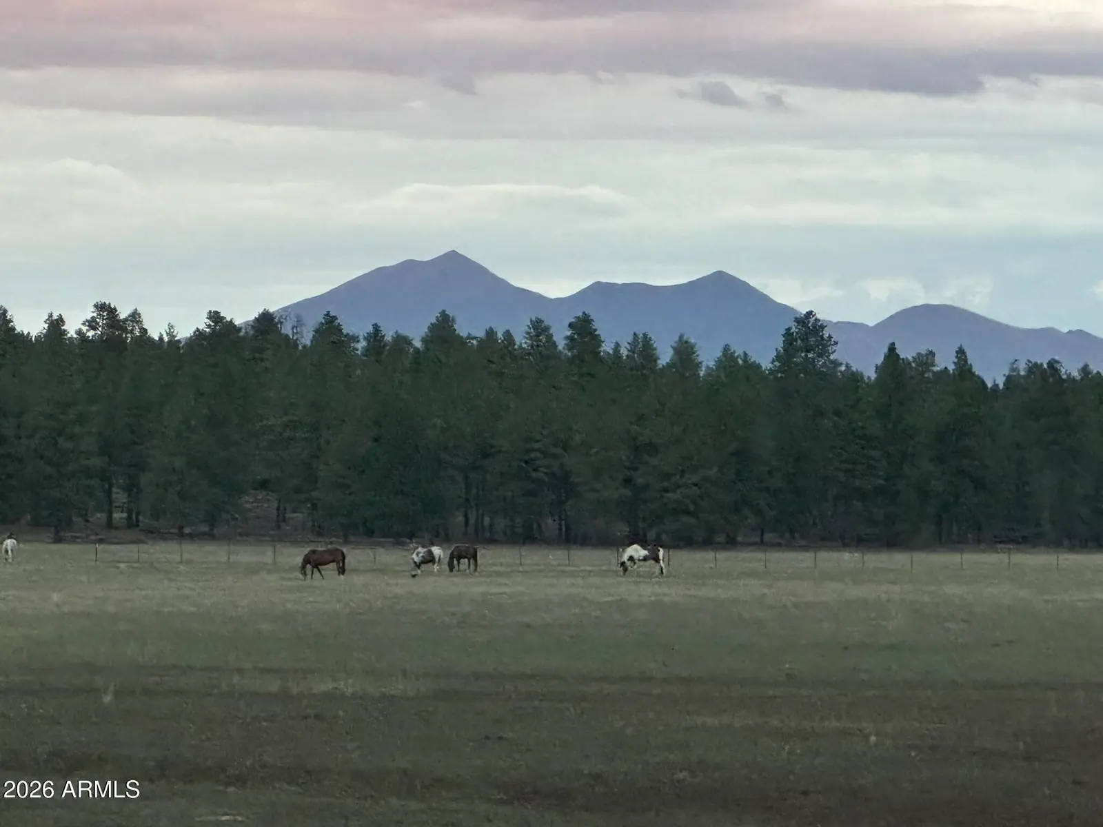 XXXX E FSR 700 and FSR 78 2, Flagstaff, AZ 86005, Photo 1 of 13