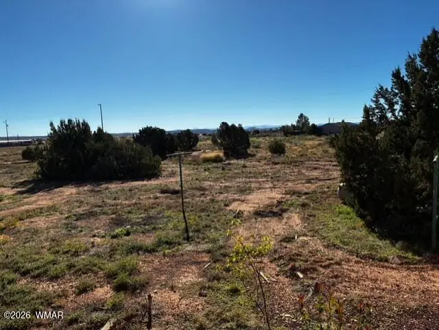 215 N Snowflake Heights Boulevard, Snowflake, AZ 85937, photo 23 of 24