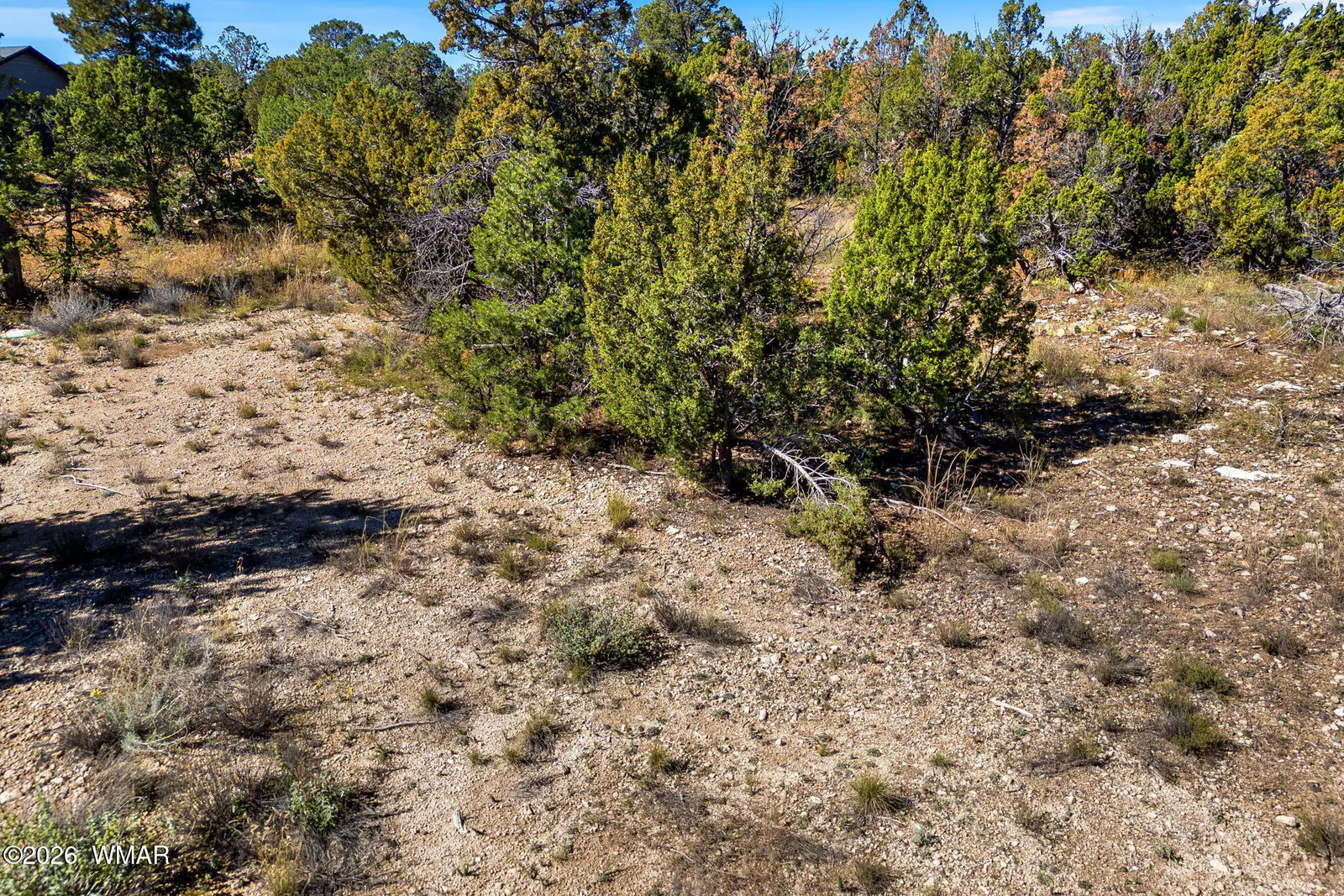 3469 Highland Drive, Heber, AZ 85928, photo 14 of 17