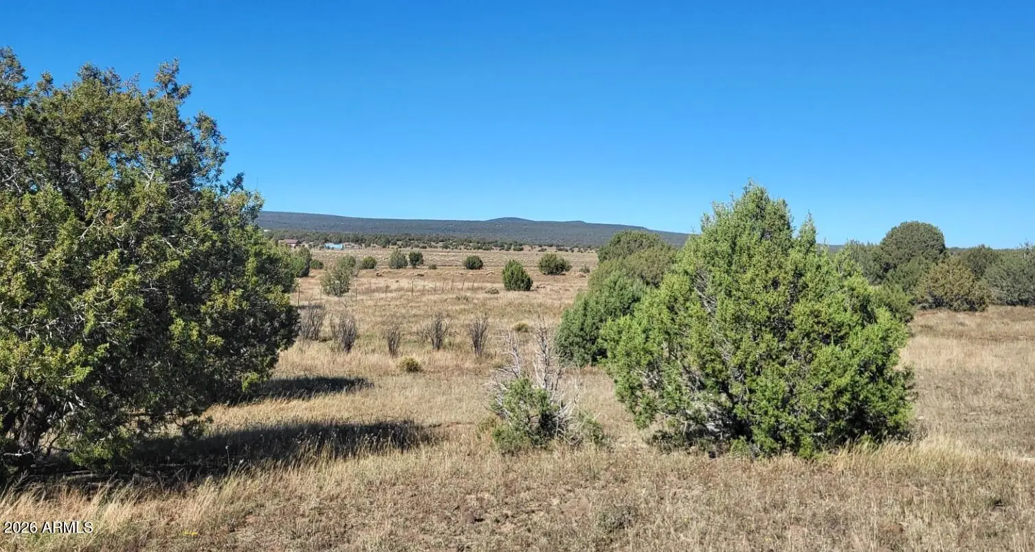 232 Six Shooter Trail 232, Williams, AZ 86046, photo 17 of 18