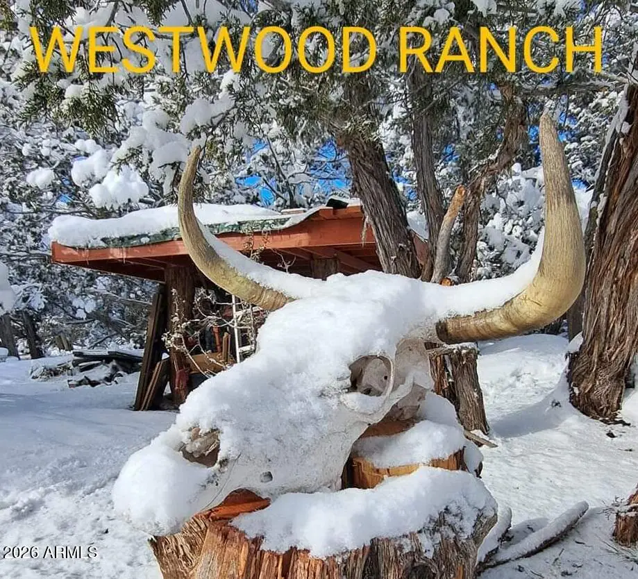 232 Six Shooter Trail 232, Williams, AZ 86046, photo 18 of 18