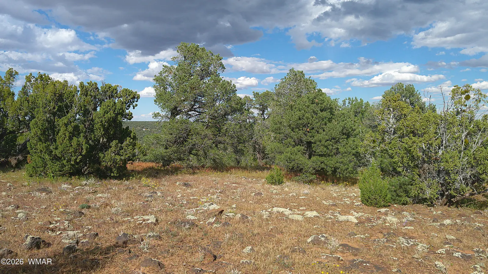 33 County Road, 8091, Concho, AZ 85924, photo 13 of 18