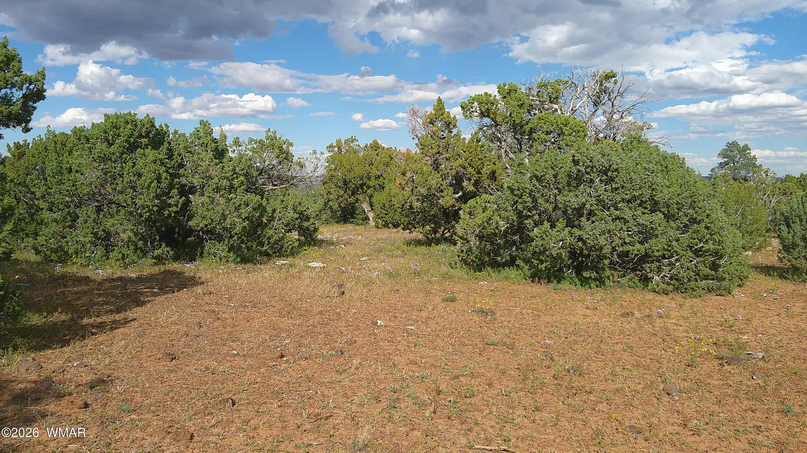 33 County Road, 8091, Concho, AZ 85924, photo 15 of 18