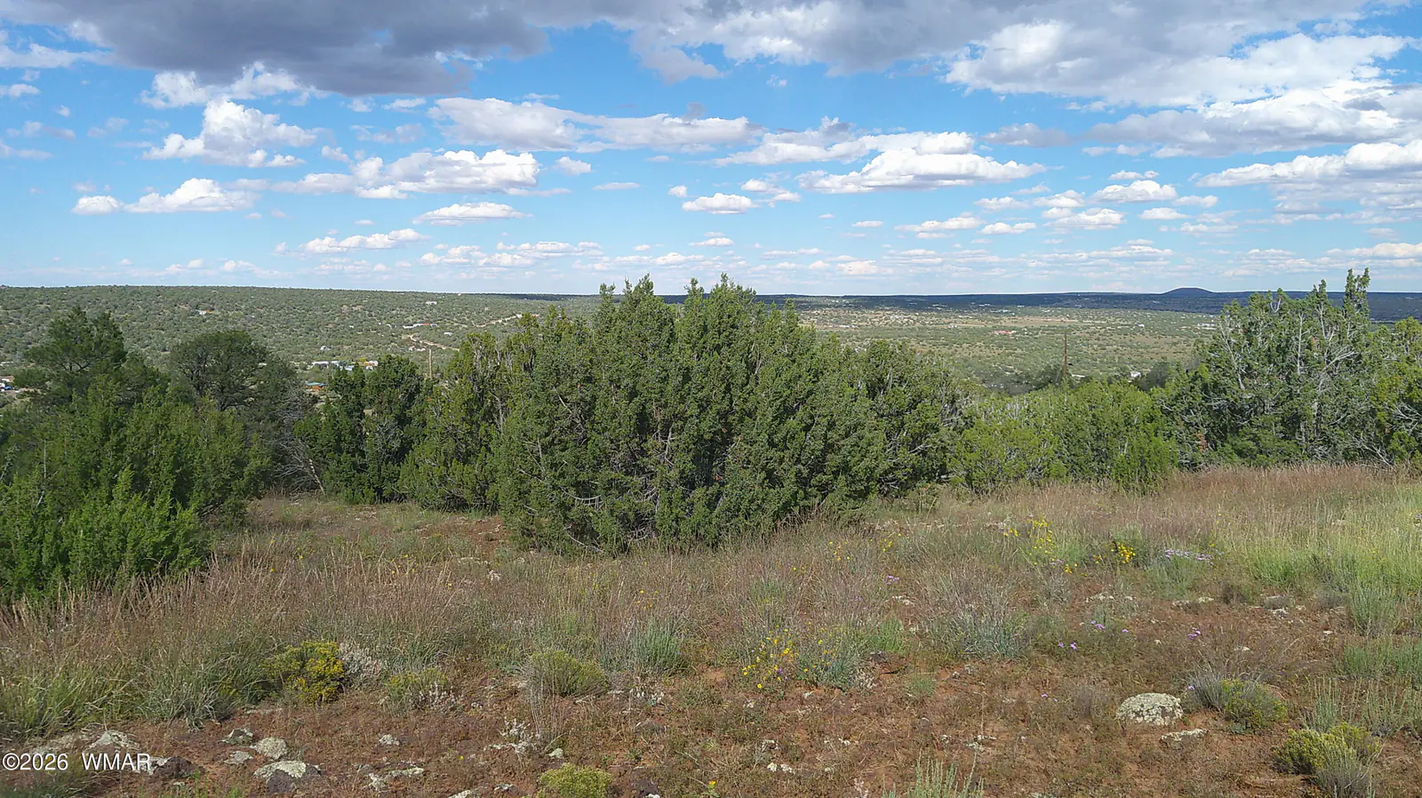 33 County Road, 8091, Concho, AZ 85924, photo 16 of 18
