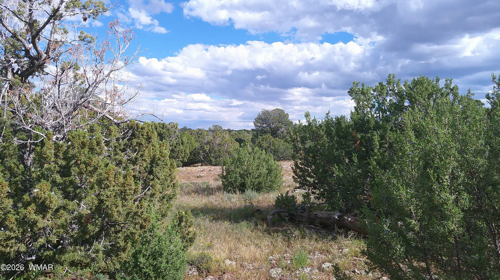 33 County Road, 8091, Concho, AZ 85924, photo 17 of 18