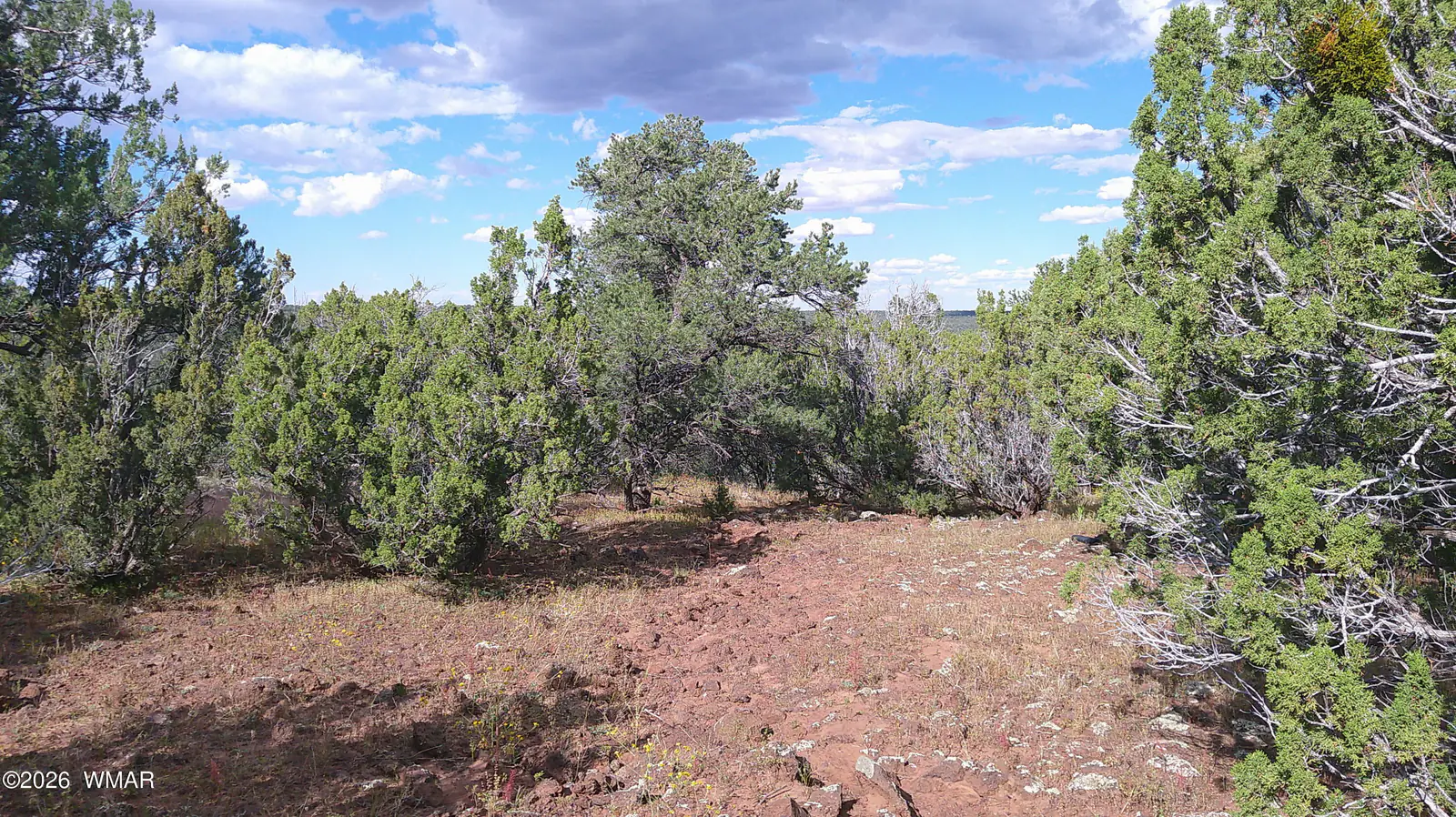 33 County Road, 8091, Concho, AZ 85924, photo 18 of 18