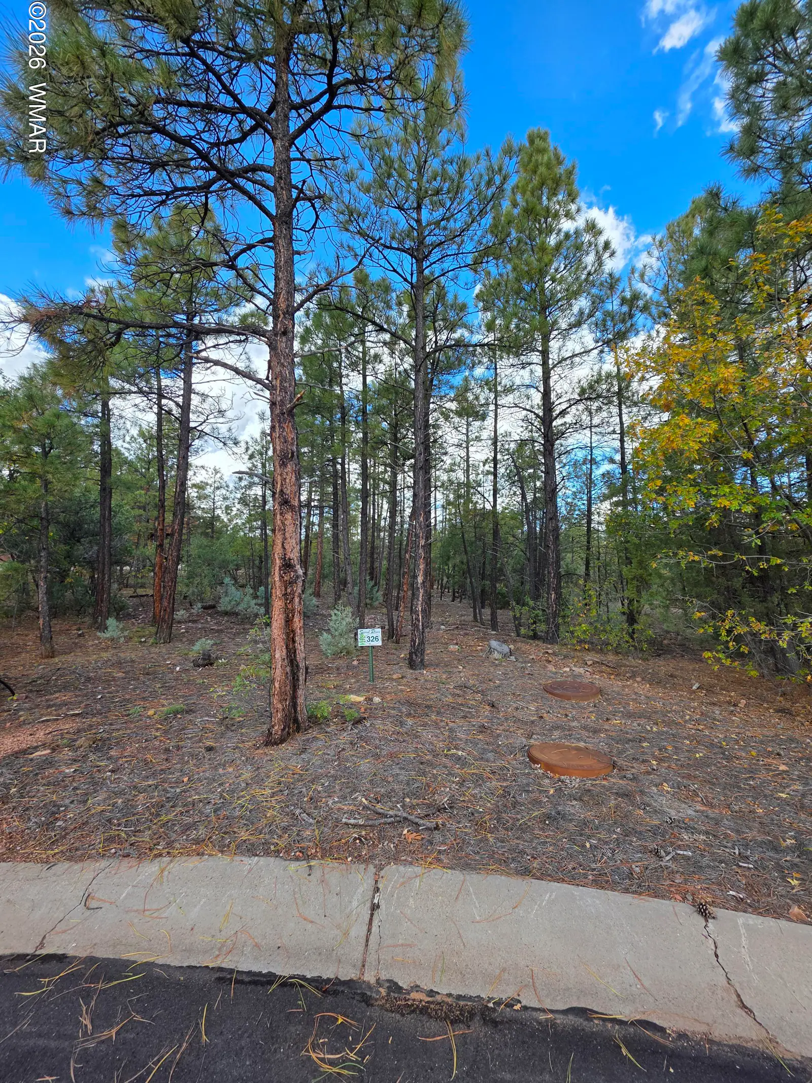 140 W Suncrest Court, Show Low, AZ 85901, Photo 1 of 8