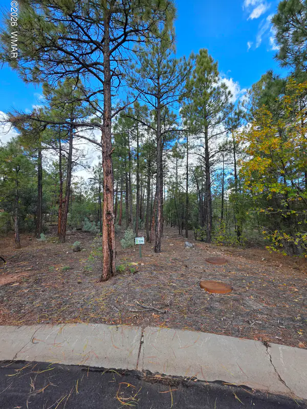Land at 140 W Suncrest Court, Show Low