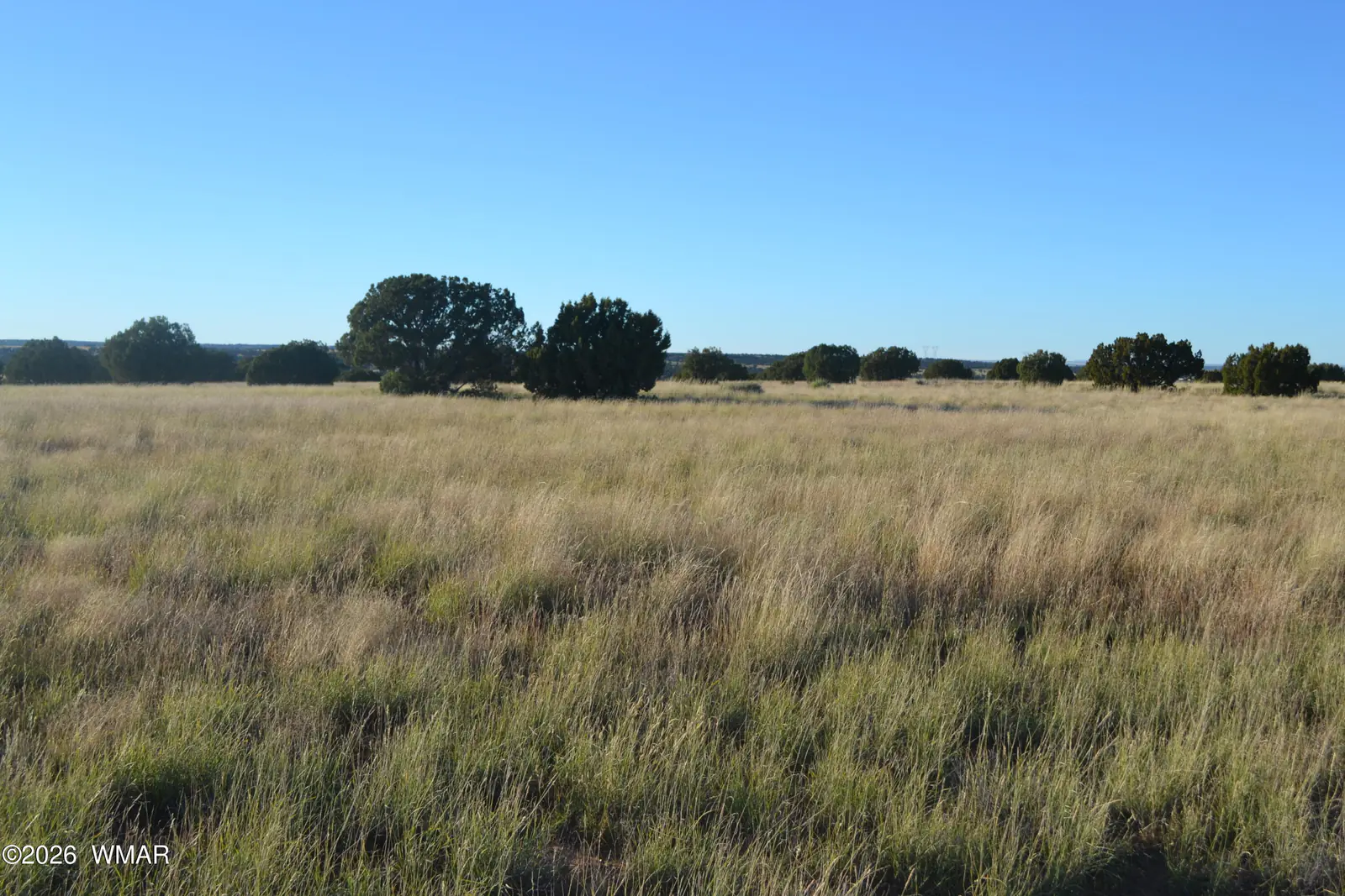 207 5525, Concho, AZ 85924, photo 2 of 13