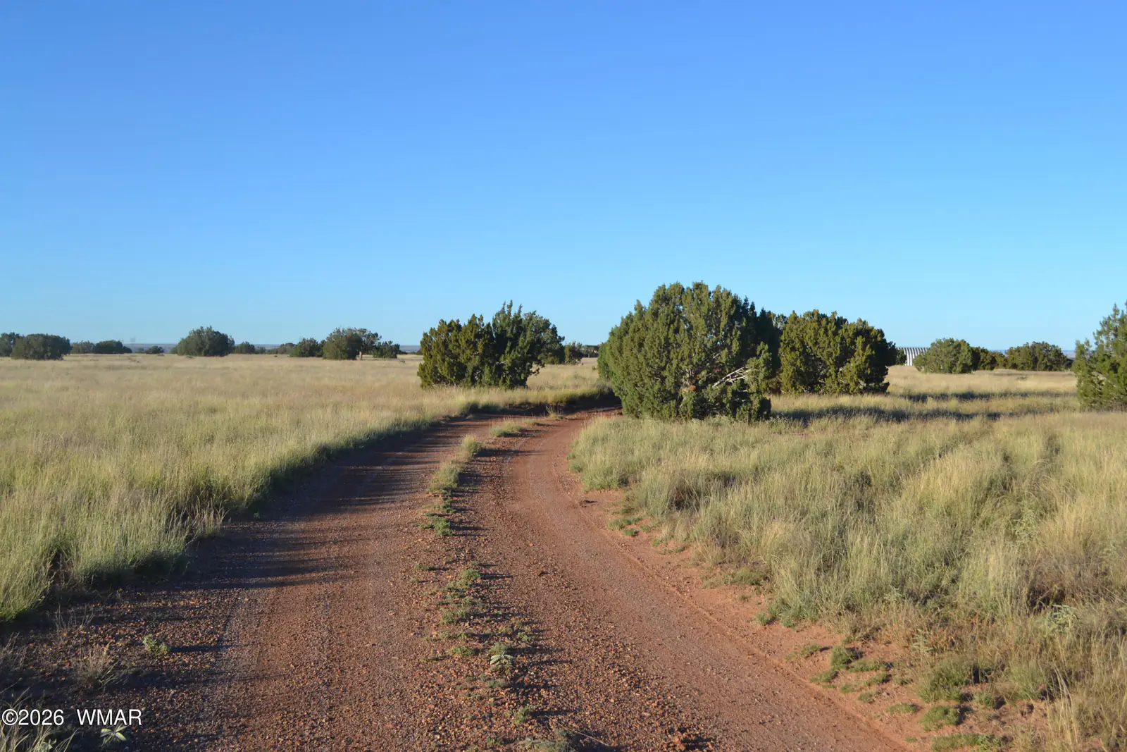 207 5525, Concho, AZ 85924, Photo 1 of 13