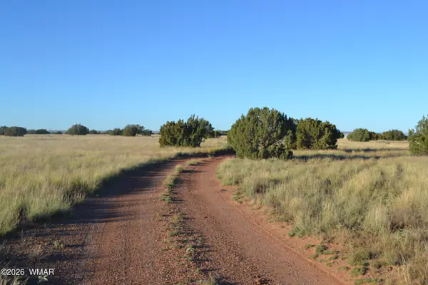 Land at 207 5525, Concho