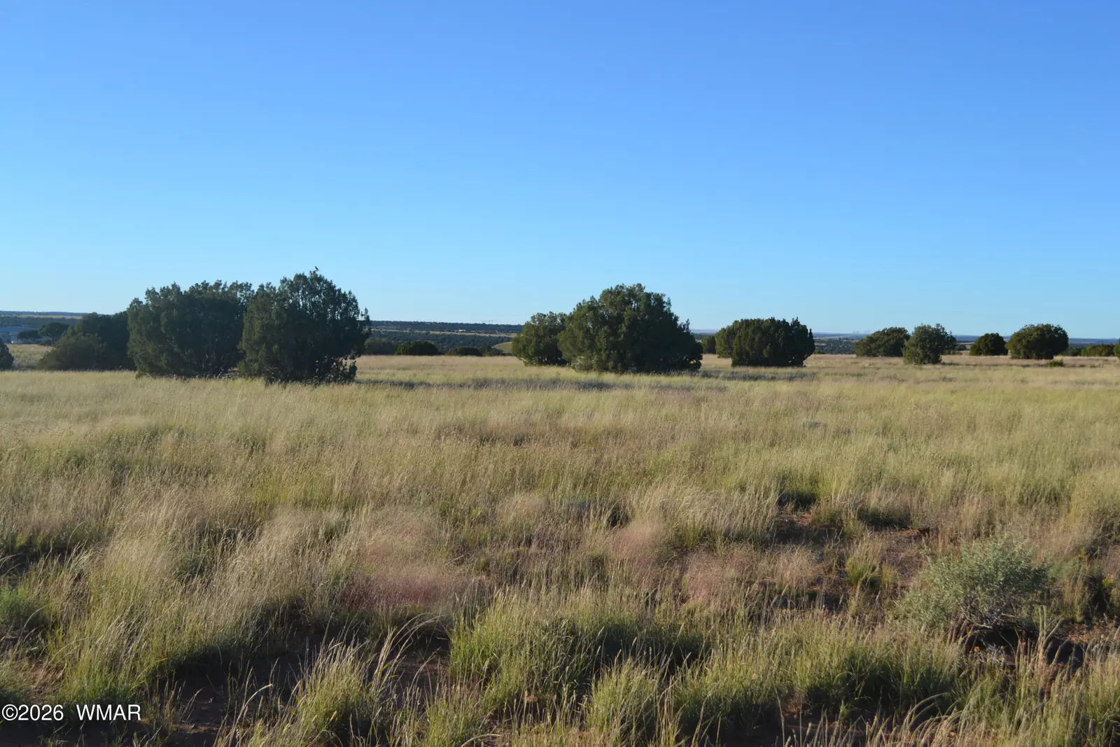 207 5525, Concho, AZ 85924, photo 5 of 13