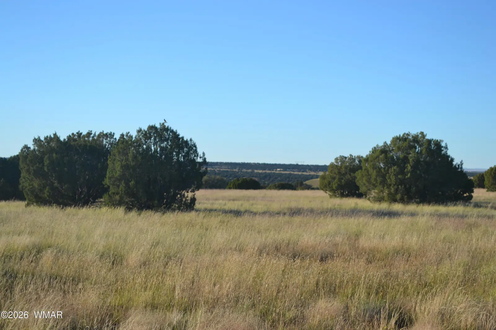 207 5525, Concho, AZ 85924, photo 6 of 13
