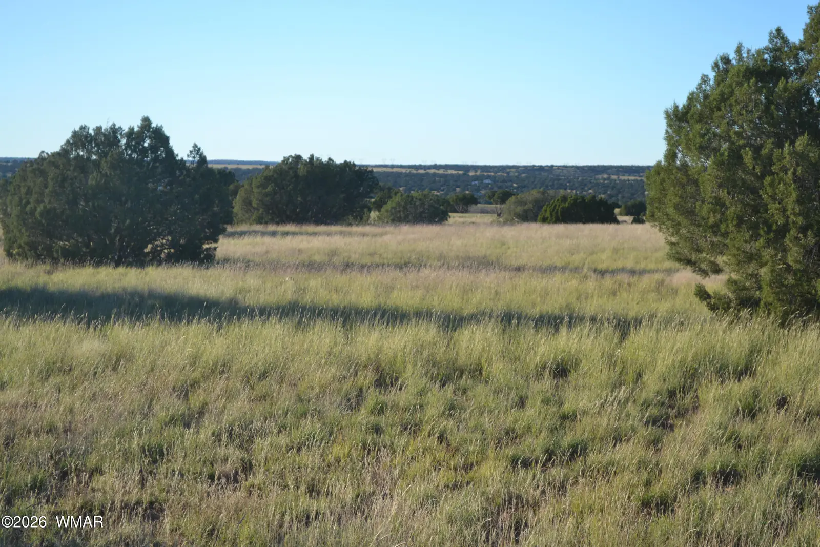 207 5525, Concho, AZ 85924, photo 7 of 13