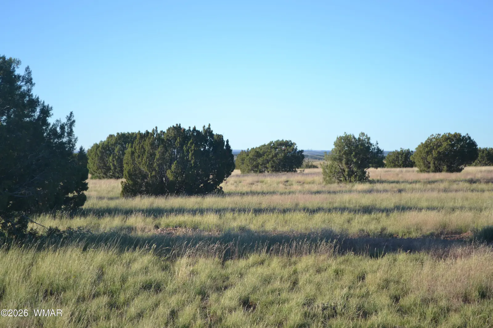 207 5525, Concho, AZ 85924, photo 8 of 13