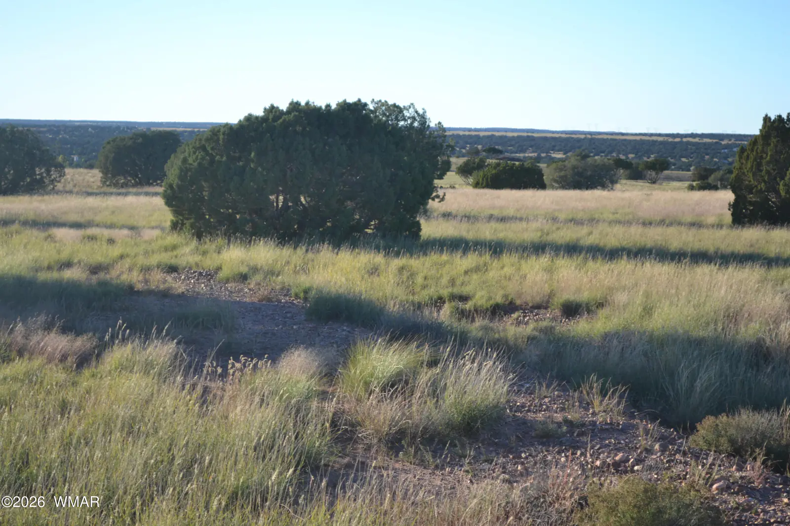 207 5525, Concho, AZ 85924, photo 9 of 13
