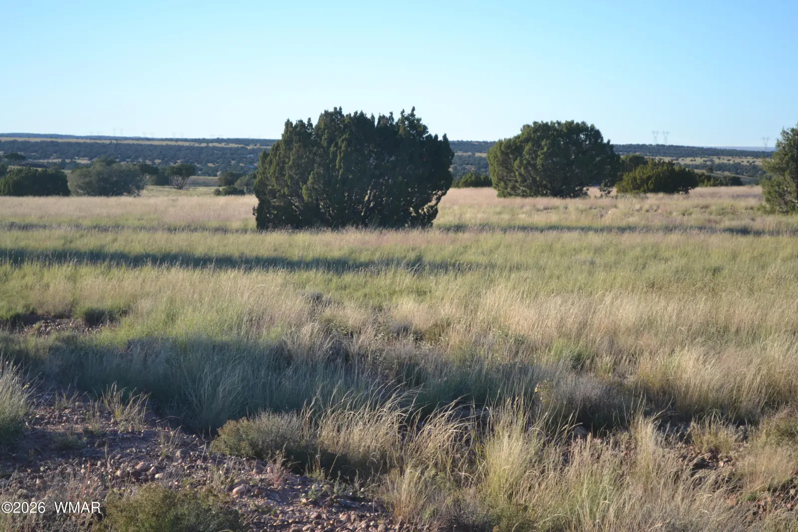 207 5525, Concho, AZ 85924, photo 10 of 13