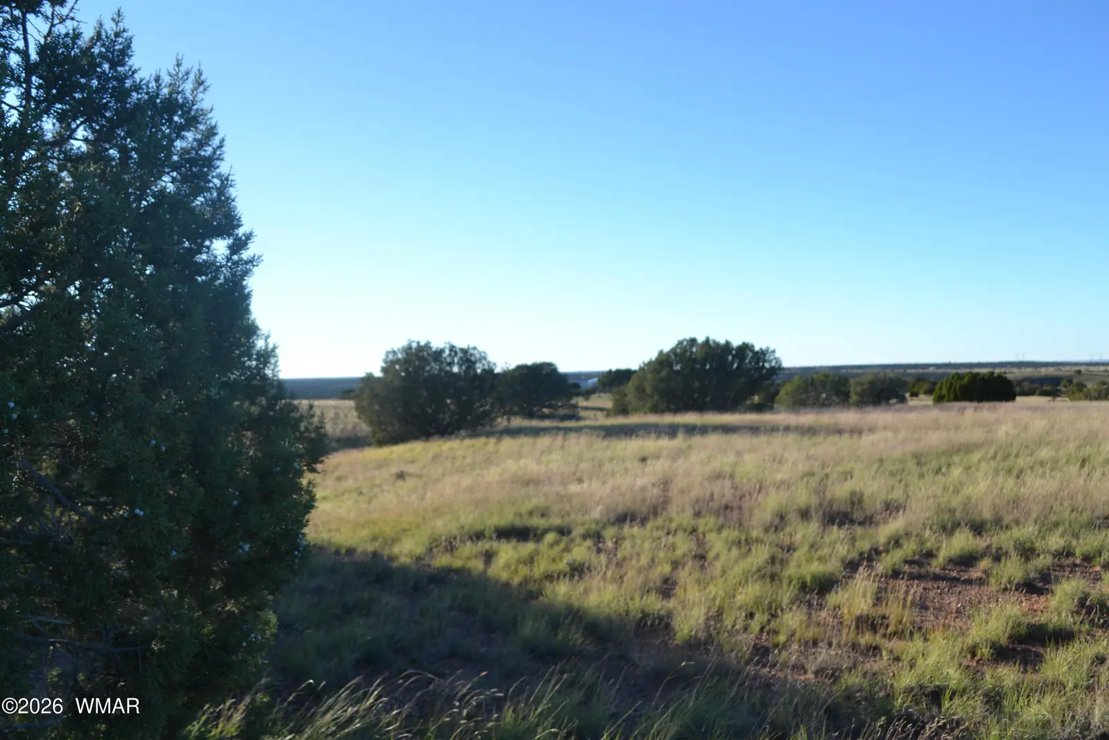 207 5525, Concho, AZ 85924, photo 11 of 13