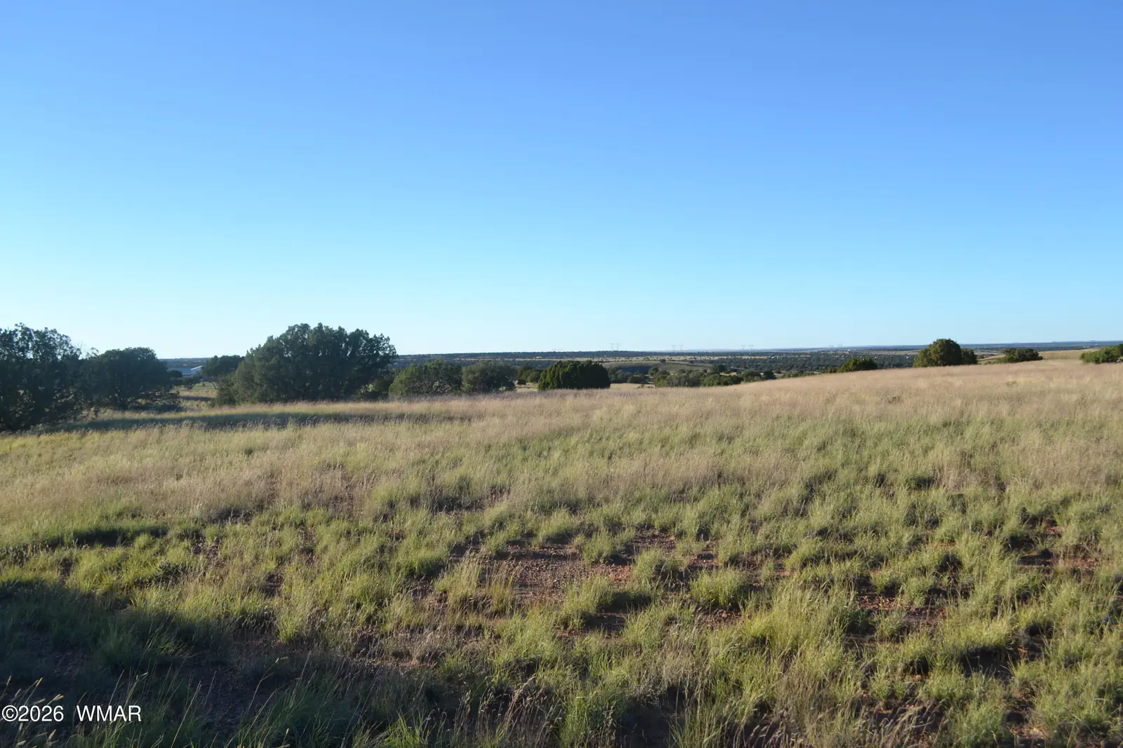 207 5525, Concho, AZ 85924, photo 12 of 13